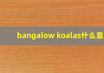 bangalow koalas什么意思